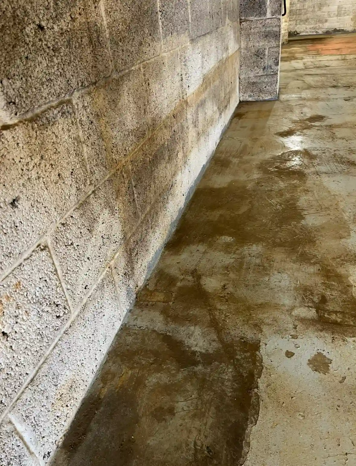dirty concrete floor
